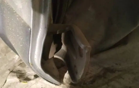 Hyundai Santa Fe Rear door lower hinge