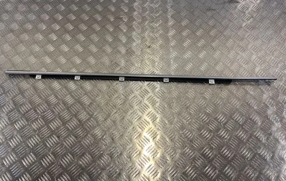 KIA Sorento Front door glass trim molding