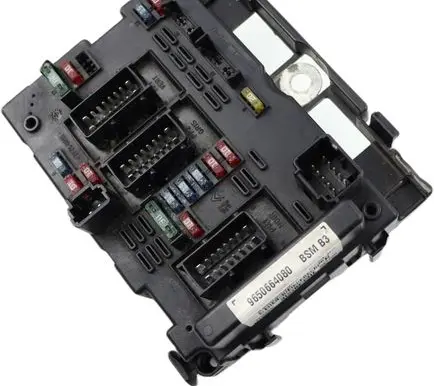 Peugeot 206 Fuse module 9650664080