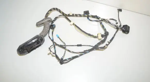 Front door wiring loom