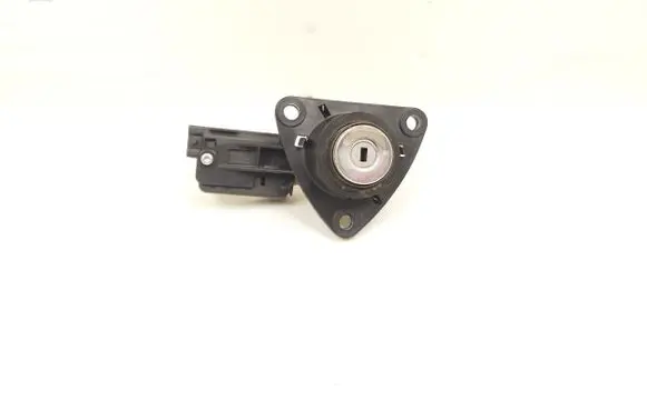 Dacia Duster Tailgate exterior lock 