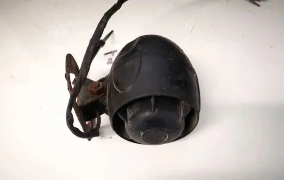 Dacia Lodgy Alarm system siren 