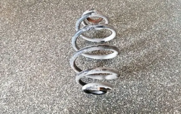 Volkswagen PASSAT B5.5 Rear coil spring