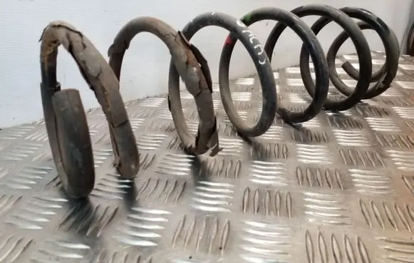 Citroen C8 Rear coil spring