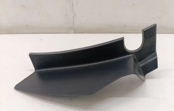 Rear/tail light trim molding