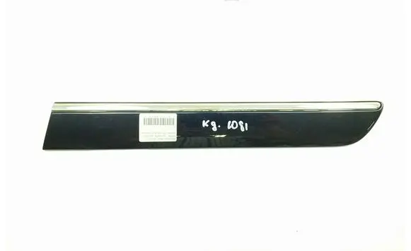 Fender trim (molding)