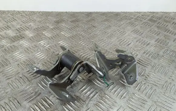 Dodge Durango Rear door hinge set 