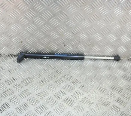 Tailgate/trunk strut/damper