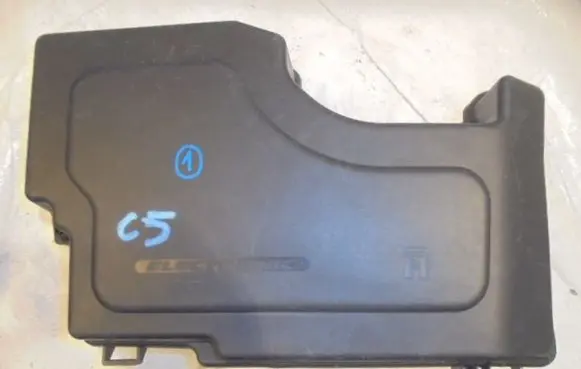 Citroen C5 Fuse module