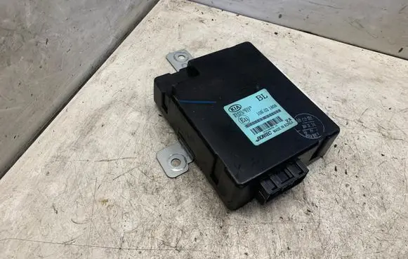 Door central lock control unit/module