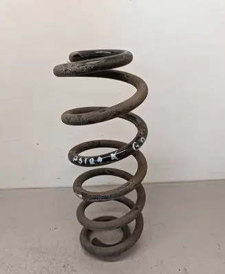 Rear coil spring