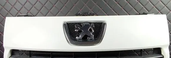 Peugeot Expert Front bumper upper radiator grill