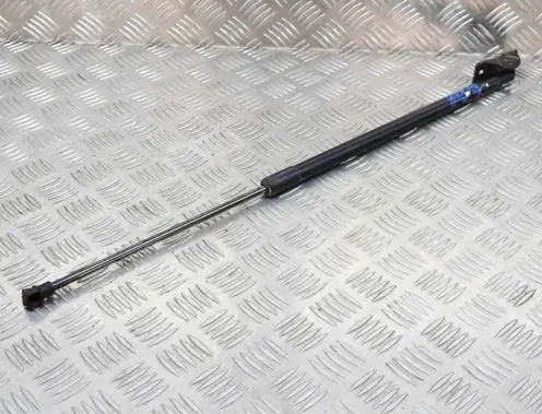 Opel Mokka Tailgate/trunk strut/damper 95095594