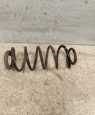 Rear coil spring
