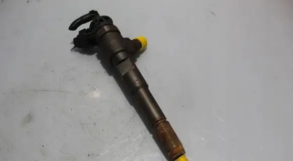 Renault Kangoo II Fuel injector 0445110652