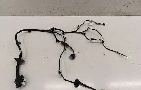 Rear door wiring loom