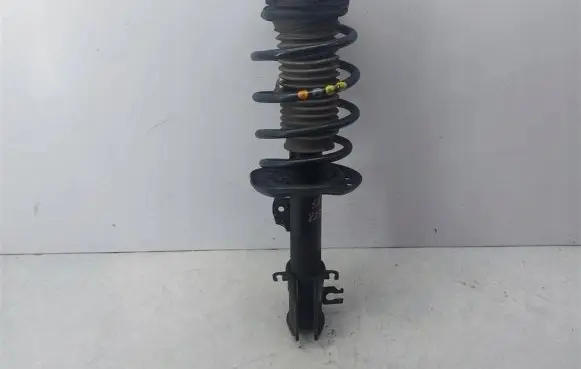 Fiat Doblo Front shock absorber with coil spring