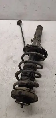 Skoda Roomster (5J) Rear shock absorber with coil spring 