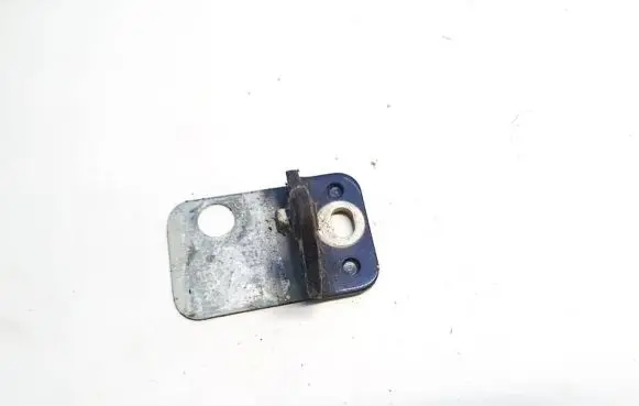 Audi A4 S4 B7 8E 8H Rear door lower hinge