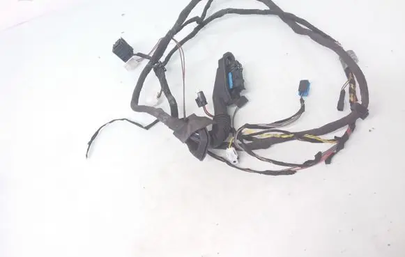 Rear door wiring loom