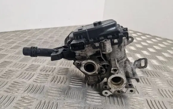Citroen Jumpy EGR valve 9807369980