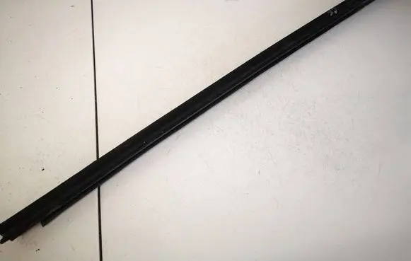 Renault Scenic II - Grand scenic II Rear door glass trim molding