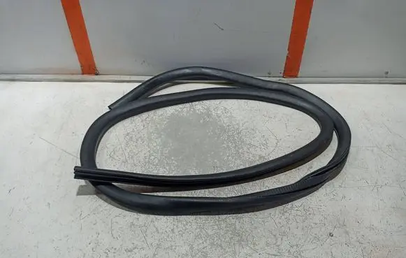 Ford Mustang Mach-E Rear door rubber seal (on body) LJ8BR20708AC