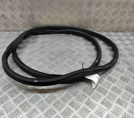 Citroen C3 Rubber seal front coupe door 9813059580