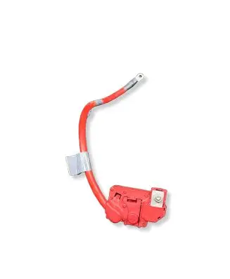 BMW 3 E92 E93 Positive cable (battery) 6988974 ESS37U 508437153