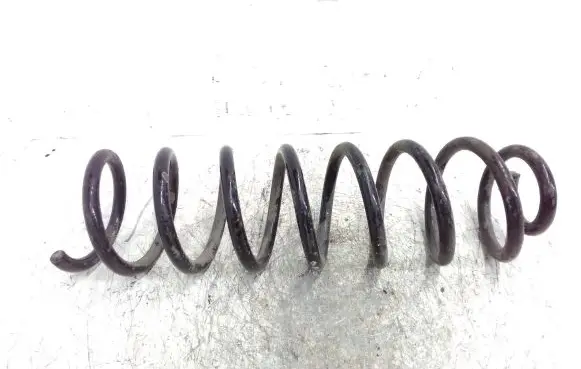 Renault Megane II Rear coil spring