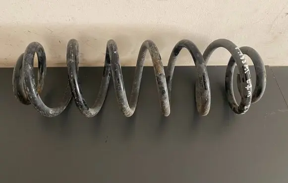 Volkswagen PASSAT B6 Rear coil spring