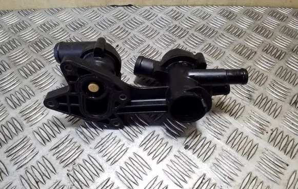 Thermostat/thermostat housing
