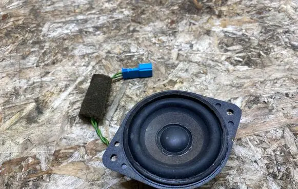 Panel speaker