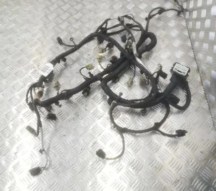Ford F150 Other wiring loom DU5T12C508