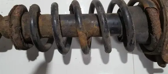 Rear coil spring