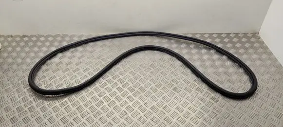 Volkswagen PASSAT B8 Front door rubber seal 3G0867912K
