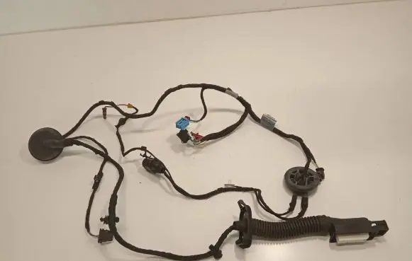 Audi A4 S4 B9 Front door wiring loom 8W0971029AK 11122015 TAB010403AN