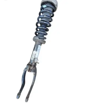 BMW X5 E70 Front shock absorber/damper 6780488
