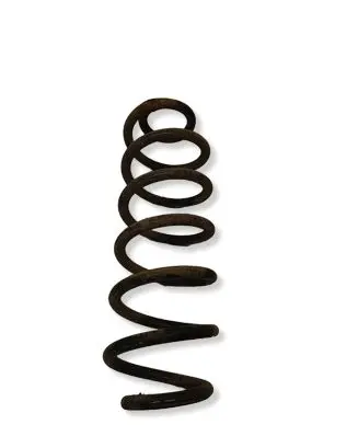 Audi Q5 SQ5 Rear coil spring 