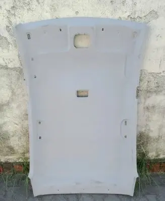 Hyundai i20 (PB PBT) Headlining 85300-1J1200