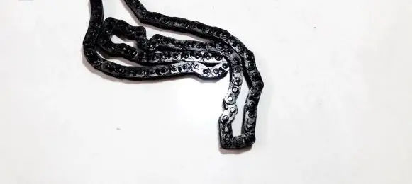 Ford Focus Timing chain (engine) 