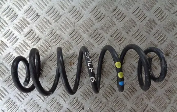 Rear coil spring