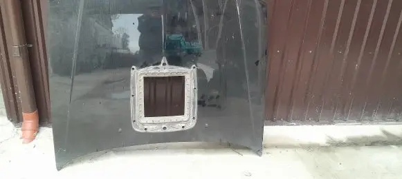 Engine bonnet/hood