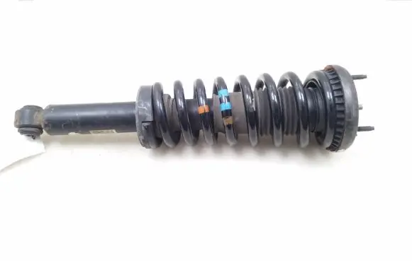 Jaguar XF X250 Rear shock absorber with coil spring 