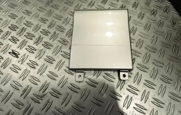 Renault Trafic III (X82) Rear door trim (molding) 788284942R 93457386