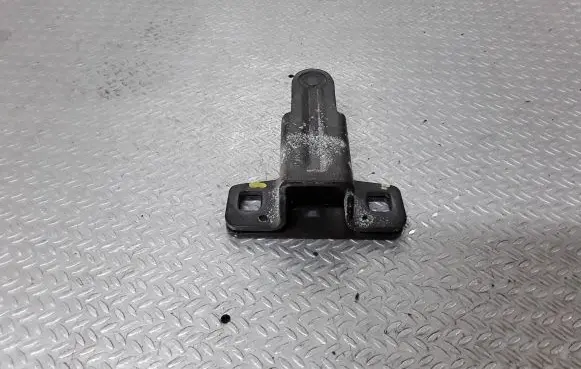 BMW X5 E53 Trunk lock loop 51248408956