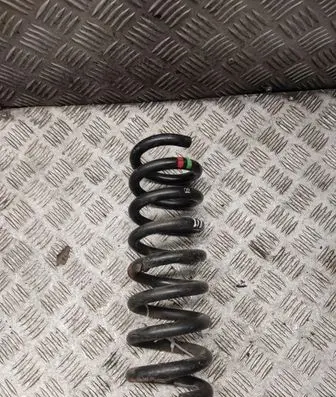 Rear coil spring