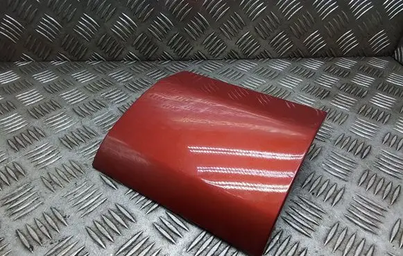 Rear/tail light trim molding