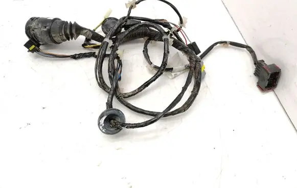 Front door wiring loom