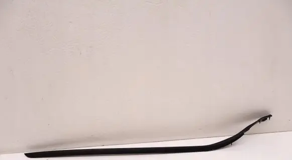 Volvo XC60 Front door glass trim molding 32210591